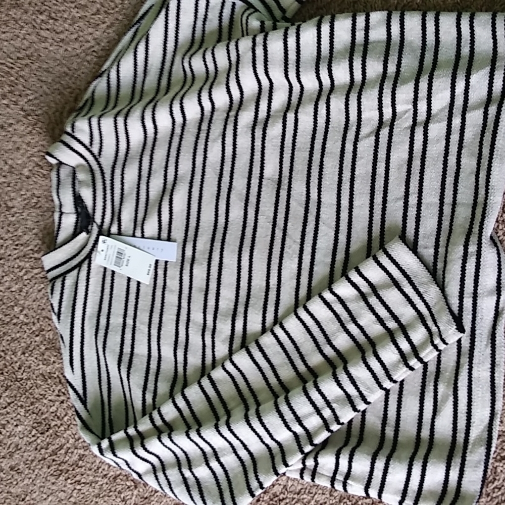 Cream and black striped sanctuary sweater